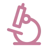 Icono